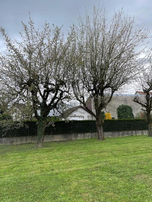 Basel Airport Garden Hotel Blotzheim Bagian luar foto